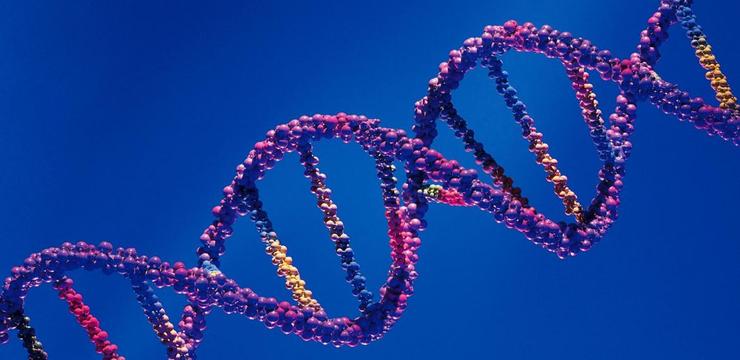 ¿Cómo inciden los factores genéticos en la aparición de cáncer?